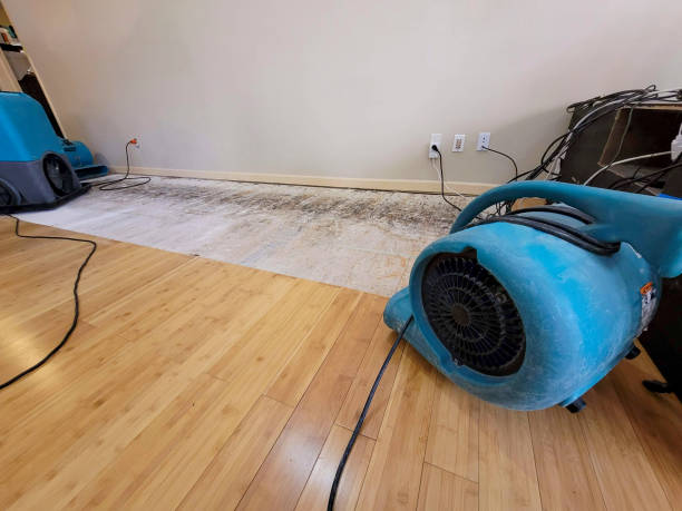 Professional Basement Flood Cleanup technician working in Fulton, MS